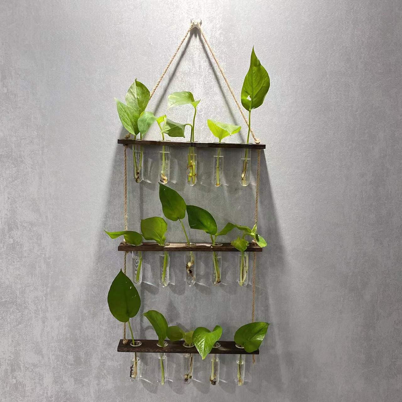 Creative Hydroponics Hanging Test Tube Vase