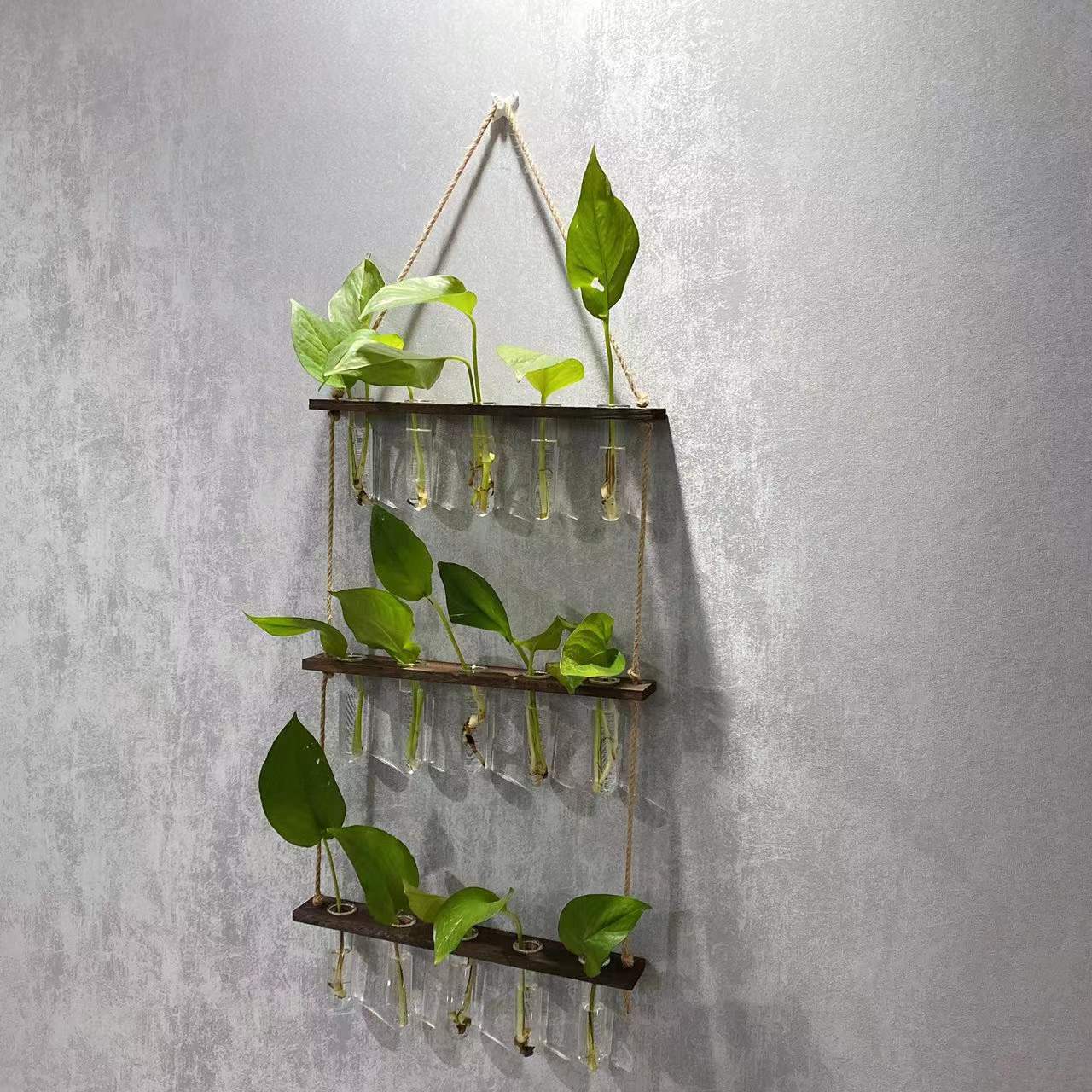 Creative Hydroponics Hanging Test Tube Vase