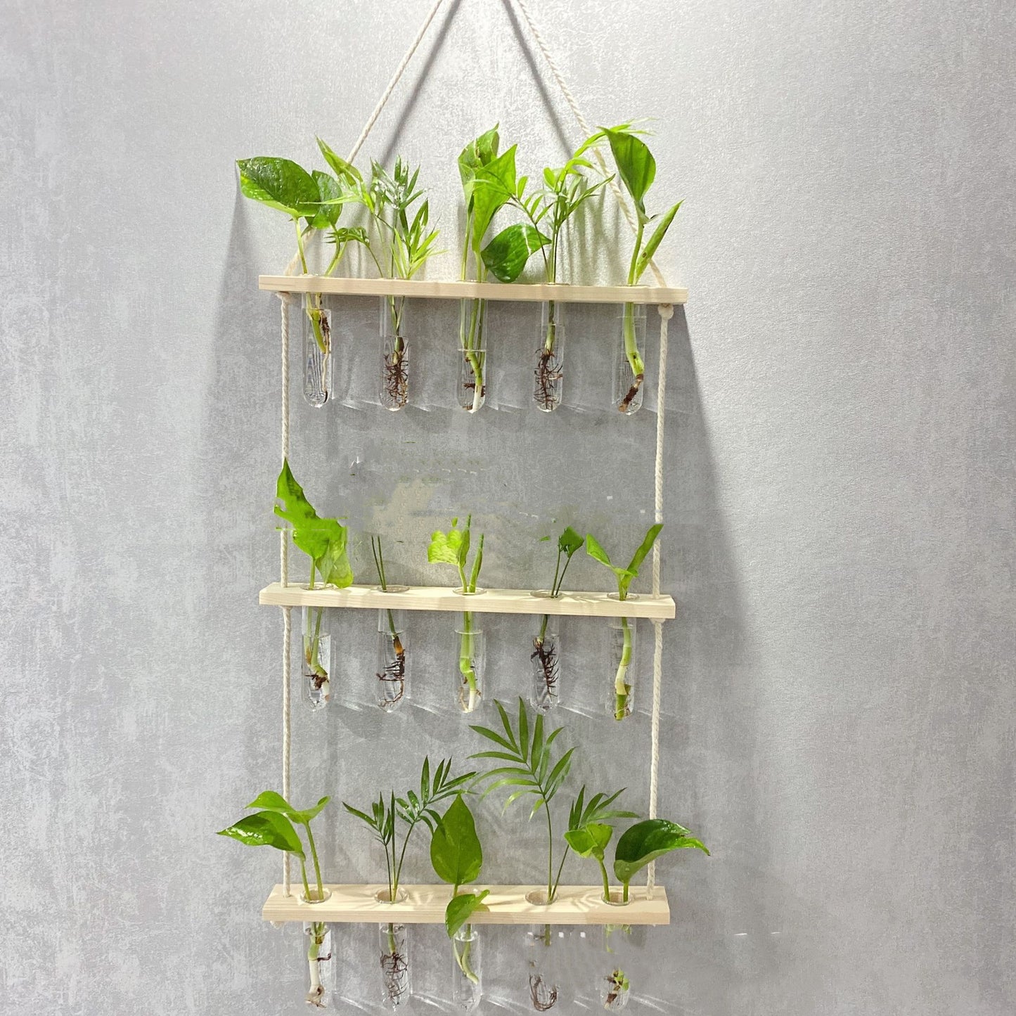 Creative Hydroponics Hanging Test Tube Vase