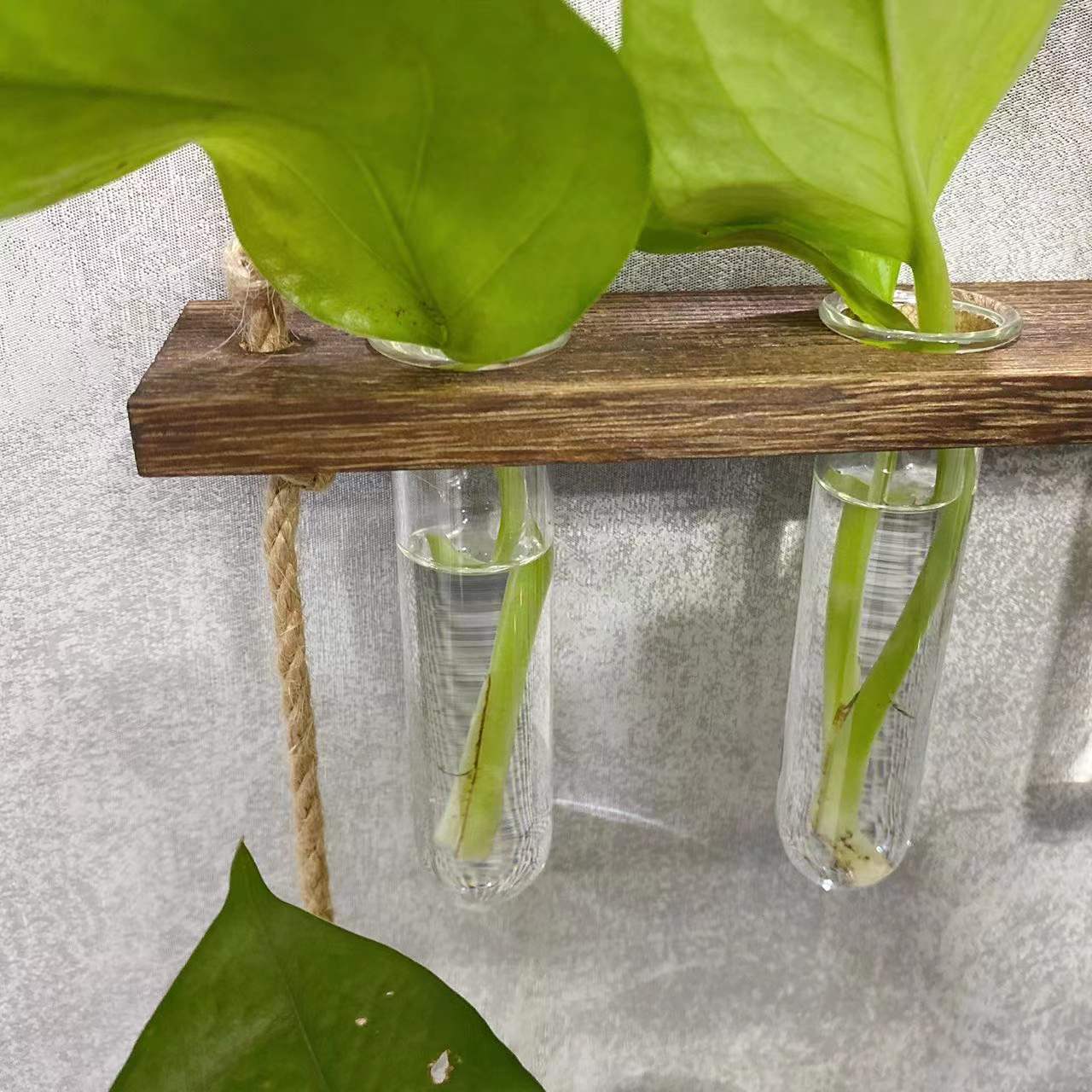 Creative Hydroponics Hanging Test Tube Vase