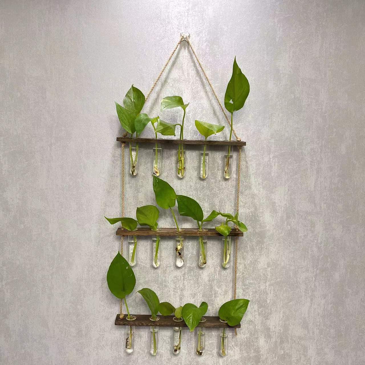 Creative Hydroponics Hanging Test Tube Vase